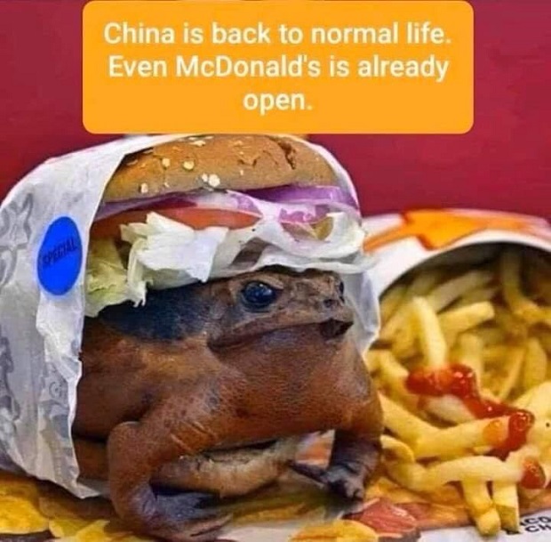 mcribbit.jpg