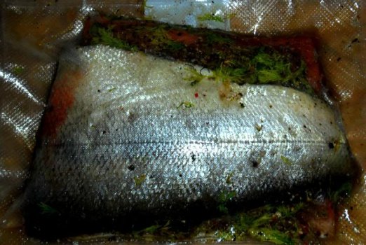 gravlax5.jpg